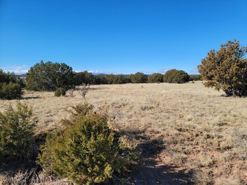 Property photo for land for sale in Torrance County New Mexico