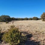 Property photo for land for sale in Torrance County New Mexico