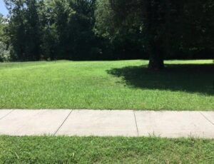 Property photo for land for sale in Mecklenburg County Virginia