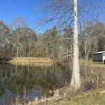 Property photo for land for sale in  County Mississippi