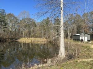 Property photo for land for sale in  County Mississippi