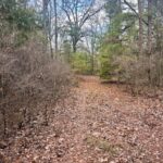 Property photo for land for sale in Wood County Texas