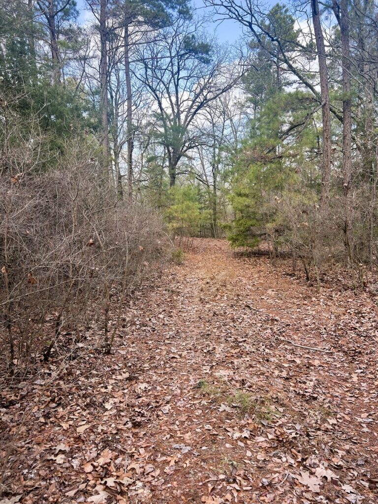 Property photo for land for sale in Wood County Texas