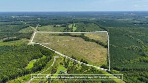 Property photo for land for sale in Lunenburg County Virginia