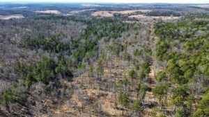 Property photo for land for sale in Izard County Arkansas