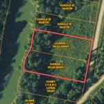 Property photo for land for sale in Dallas County Alabama