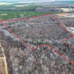 Property photo for land for sale in Buckingham County Virginia