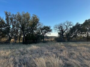 Property photo for land for sale in Brown County Texas