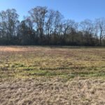 Property photo for land for sale in Butler County Alabama