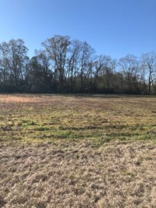 Property photo for land for sale in Butler County Alabama