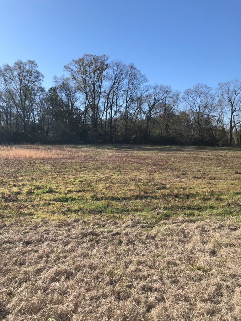 Property photo for land for sale in Butler County Alabama