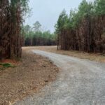 Property photo for land for sale in Harrison County Texas