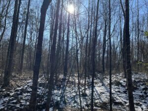 Property photo for land for sale in Hardin County Tennessee