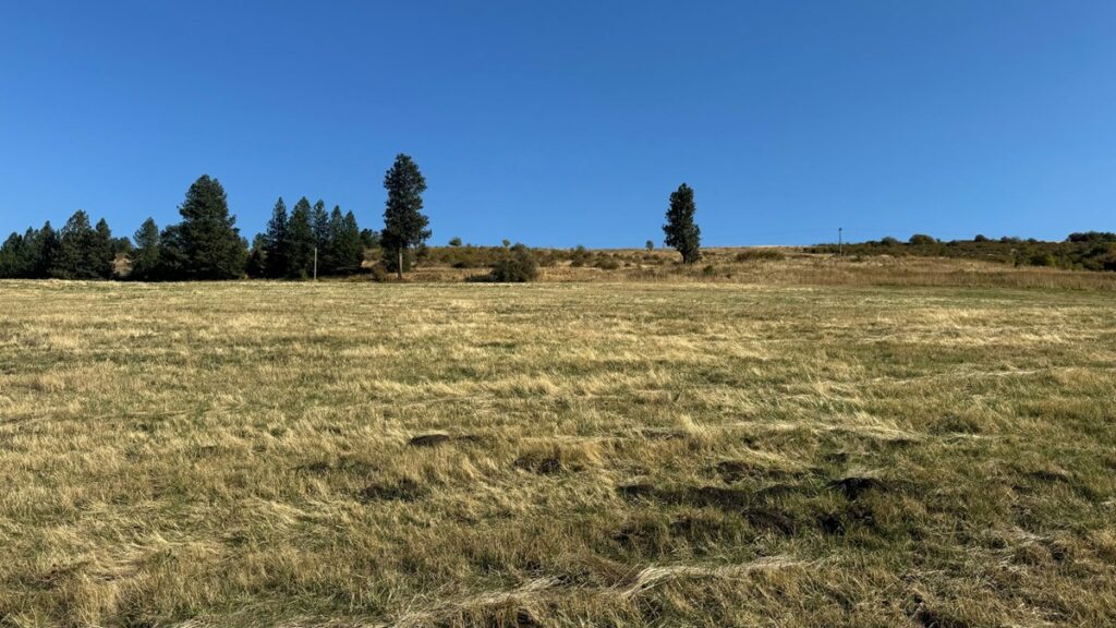 Property photo for land for sale in Idaho County Idaho