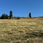 Property photo for land for sale in Idaho County Idaho