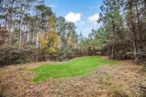 Property photo for land for sale in Amite County Mississippi