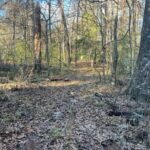 Property photo for land for sale in Evangeline County Louisiana