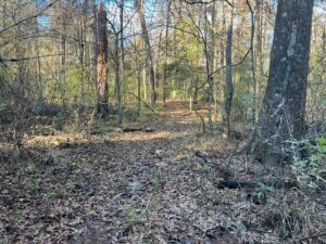 Property photo for land for sale in Evangeline County Louisiana