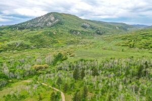 Property photo for land for sale in Montezuma County Colorado