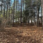 Property photo for land for sale in Mecklenburg County Virginia