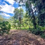 Property photo for land for sale in  County Panama