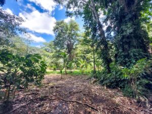 Property photo for land for sale in  County Panama