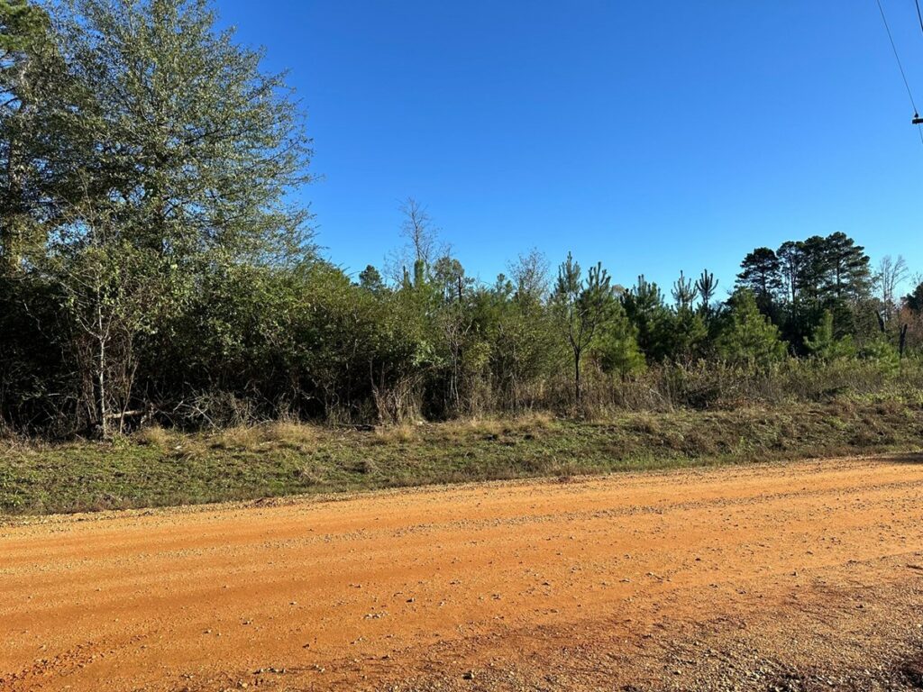 Property photo for land for sale in Bradley County Arkansas