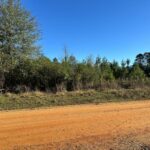 Property photo for land for sale in Bradley County Arkansas