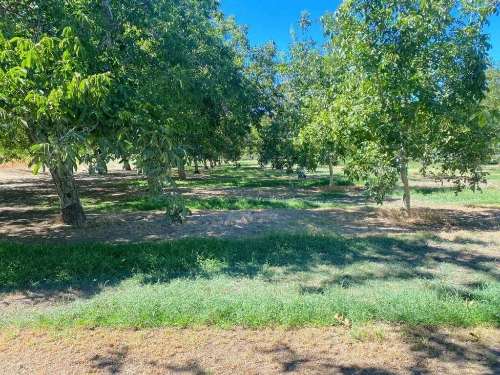 Property photo for land for sale in Yolo County California