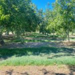 Property photo for land for sale in Yolo County California