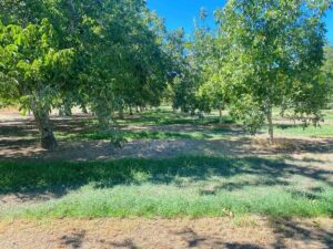 Property photo for land for sale in Yolo County California