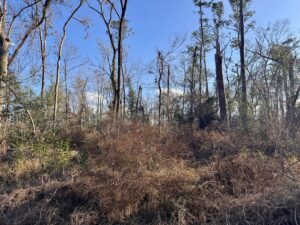 Property photo for land for sale in Hamilton County Florida