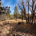 Property photo for land for sale in Rio Arriba County New Mexico