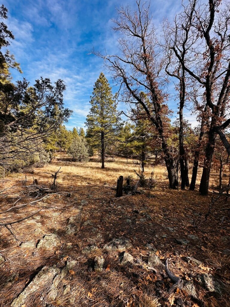 Property photo for land for sale in Rio Arriba County New Mexico