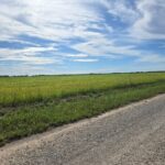 Property photo for land for sale in Archer County Texas