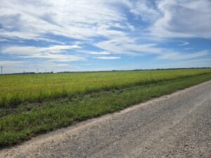 Property photo for land for sale in Archer County Texas