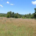 Property photo for land for sale in Texas County Missouri