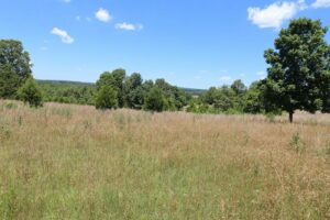 Property photo for land for sale in Texas County Missouri