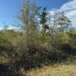 Property photo for land for sale in Columbia County Florida