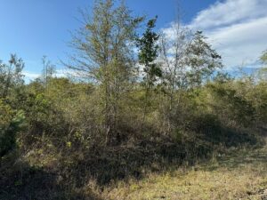 Property photo for land for sale in Columbia County Florida