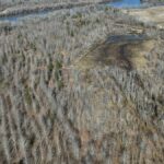 Property photo for land for sale in Catahoula County Louisiana