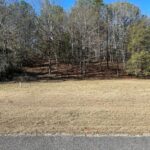 Property photo for land for sale in Autauga County Alabama