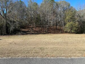 Property photo for land for sale in Autauga County Alabama