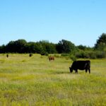 Property photo for land for sale in Lincoln County Oklahoma