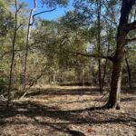 Property photo for land for sale in Gilchrist County Florida