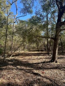 Property photo for land for sale in Gilchrist County Florida