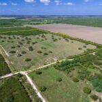 Property photo for land for sale in Jim Wells County Texas