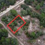 Property photo for land for sale in Levy County Florida