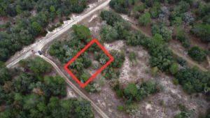 Property photo for land for sale in Levy County Florida