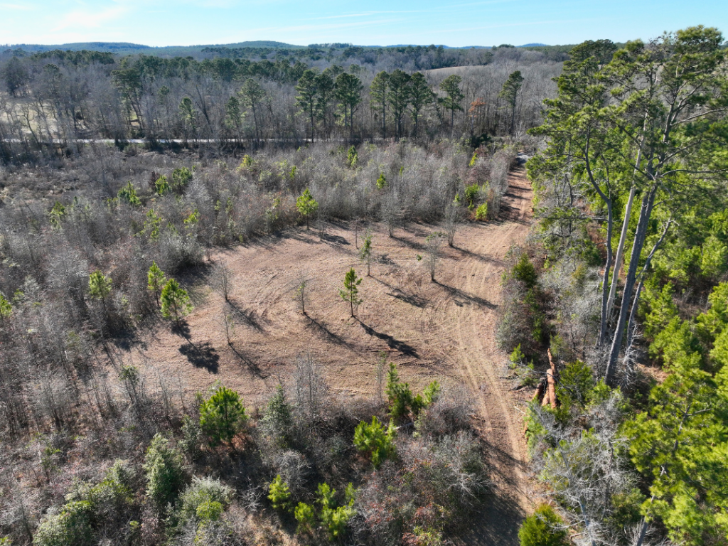 Property photo for land for sale in Cass County Texas